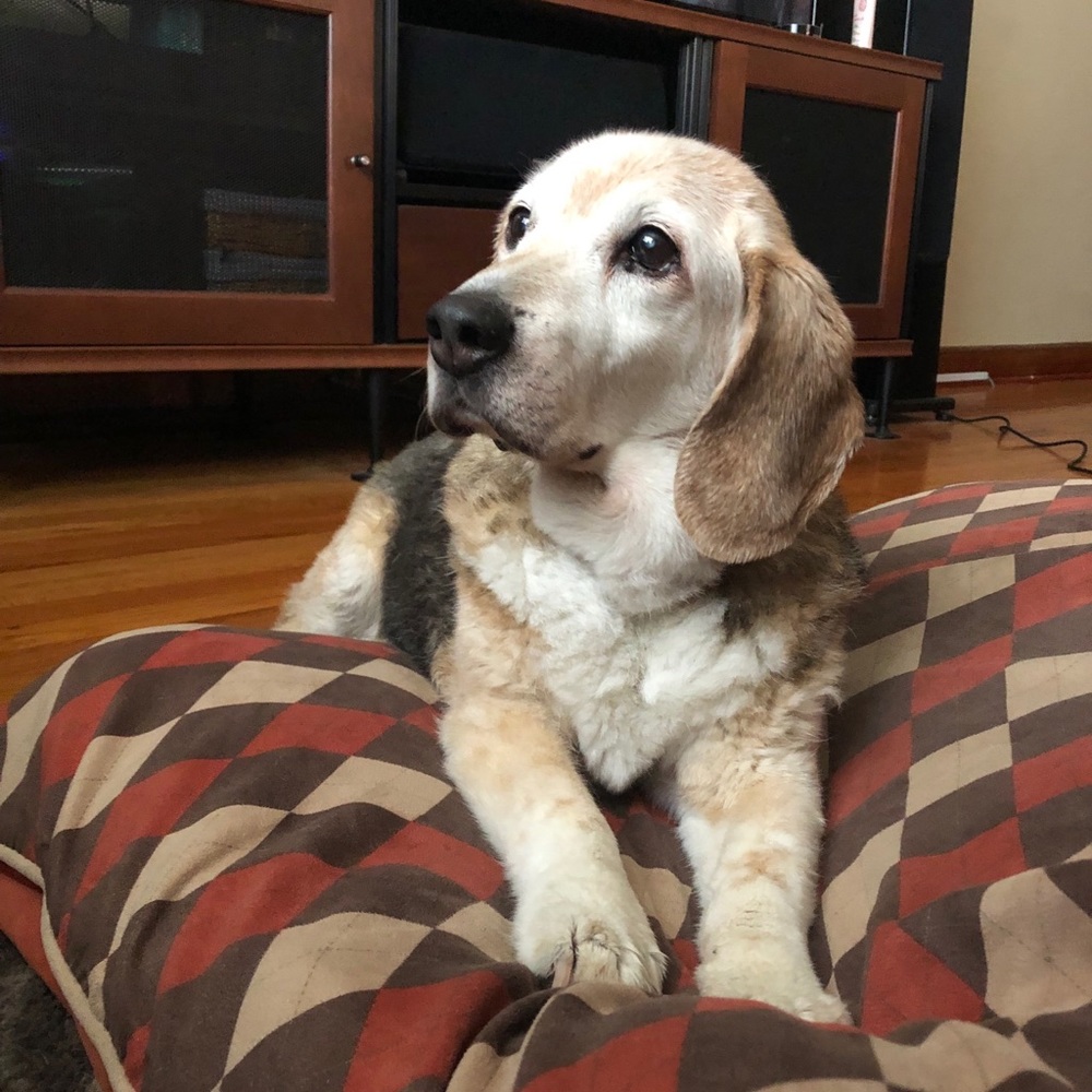 Meet your Posher, Marie